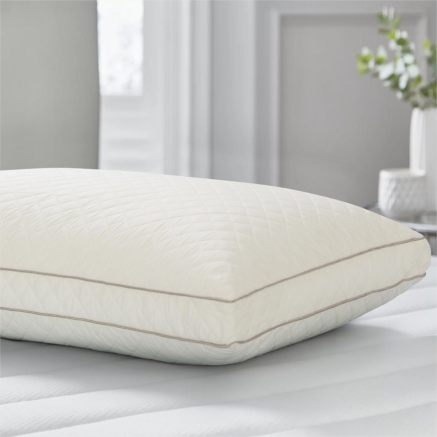 Soybean Fiber Pillow